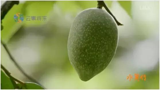 这部汁液四溅的作品勾起了所有人的欲望