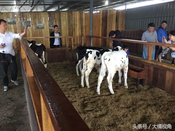 仙本那海岛游玩,仙本那海岛度假