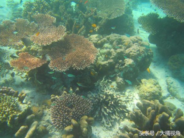 仙本那海岛游玩,仙本那海岛度假