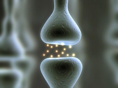 瑞典astaxin拜尔力天然虾青素,瑞典astaxin虾青素有什么用