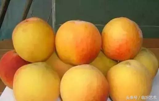 临沂景色有多美,临沂的独特风光