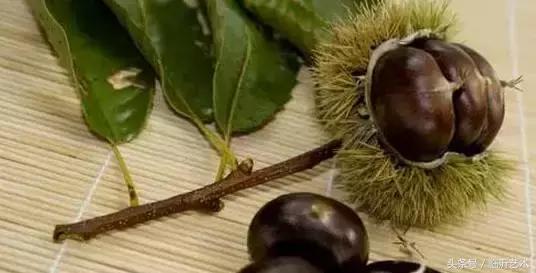 临沂景色有多美,临沂的独特风光