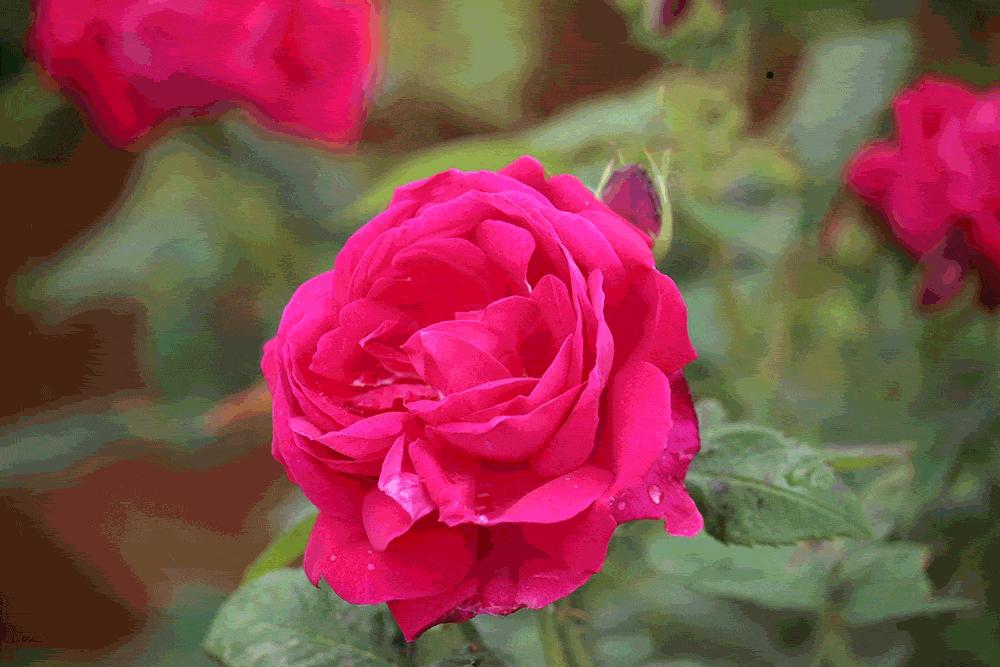 送礼就送鲜花饼,送礼送嘉华的鲜花饼