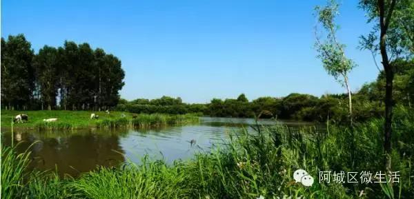 阿城现在的生活,阿城现在如何