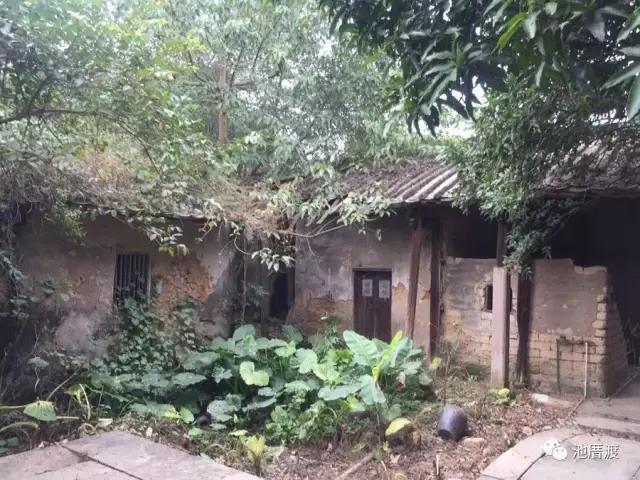 池厝渡,池厝渡抬龙头