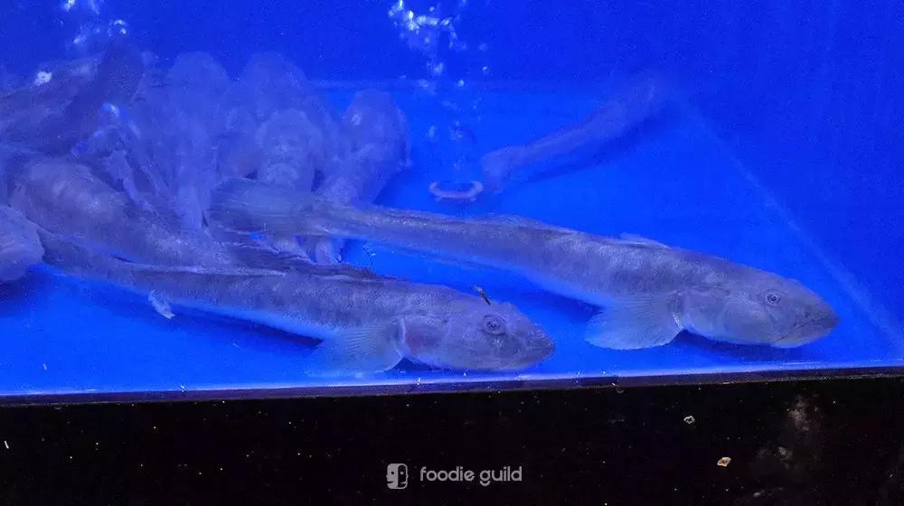 杭帮菜馆必去排名前十名,福源居杭帮菜