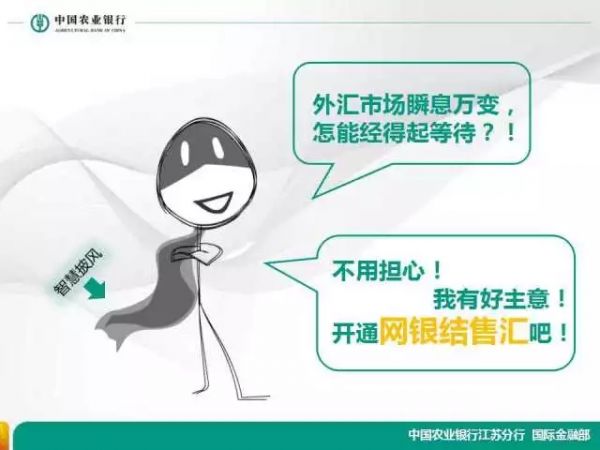 农业银行跨境汇款跟结售汇区别,农业银行结售汇规矩