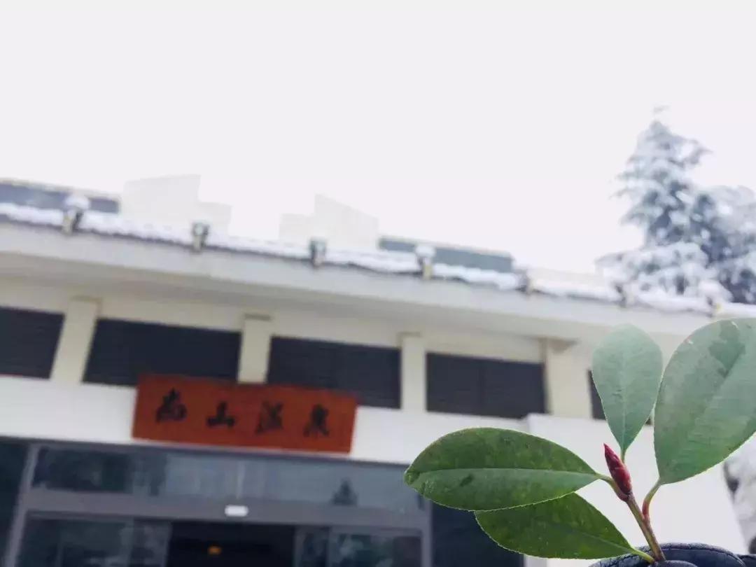 秦岭山下温泉,秦岭山里的野温泉