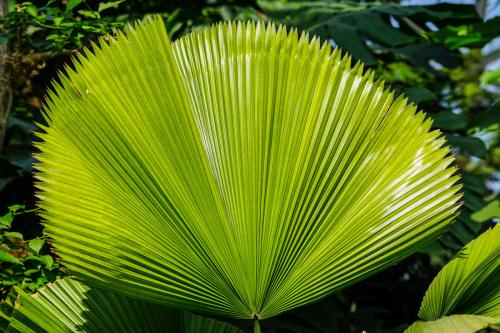 比打蜡效果还好点是什么,护漆小妙招