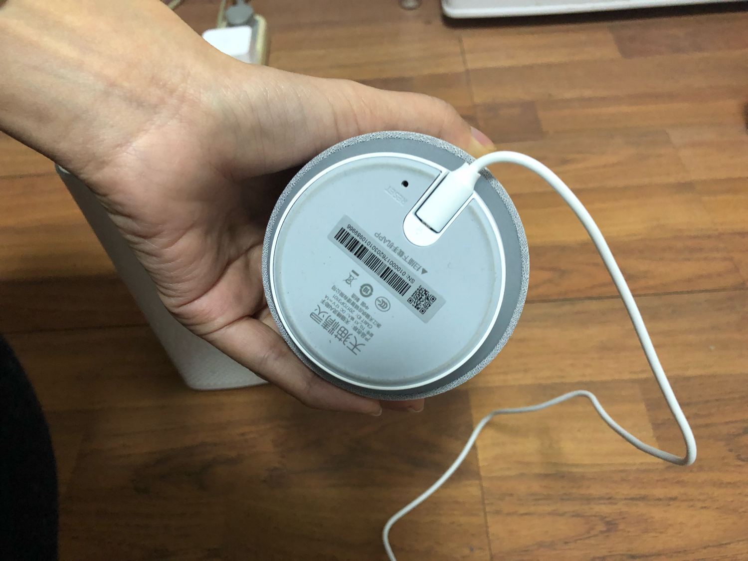 小爱同学和天猫精灵哪个值得入手,99元的小爱同学和天猫精灵选哪个