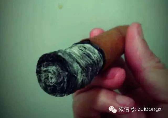 不曾驯服的野性，随风而逝