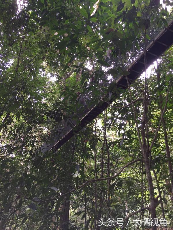 仙本那海岛游玩,仙本那海岛度假