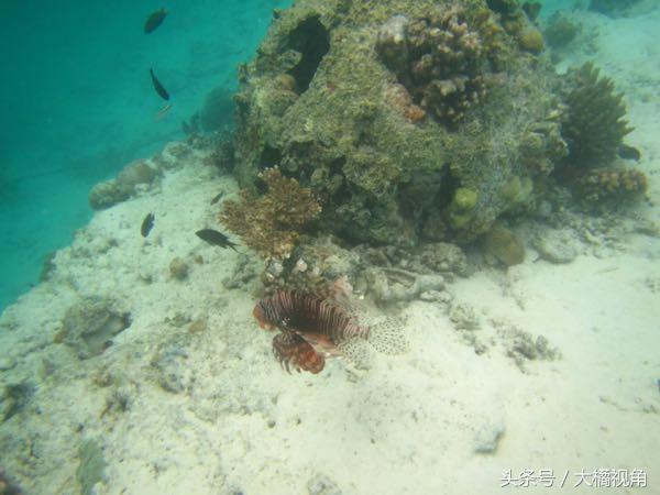 仙本那海岛游玩,仙本那海岛度假
