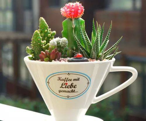 阿司匹林哮喘急救药物,阿司匹林外敷妙用