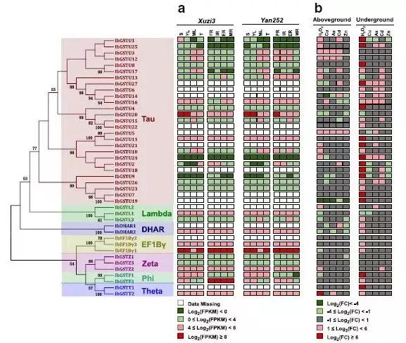 项目和论文不一样的逻辑,项目不同数据不同适合什么图表