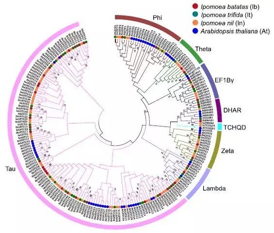 项目和论文不一样的逻辑,项目不同数据不同适合什么图表