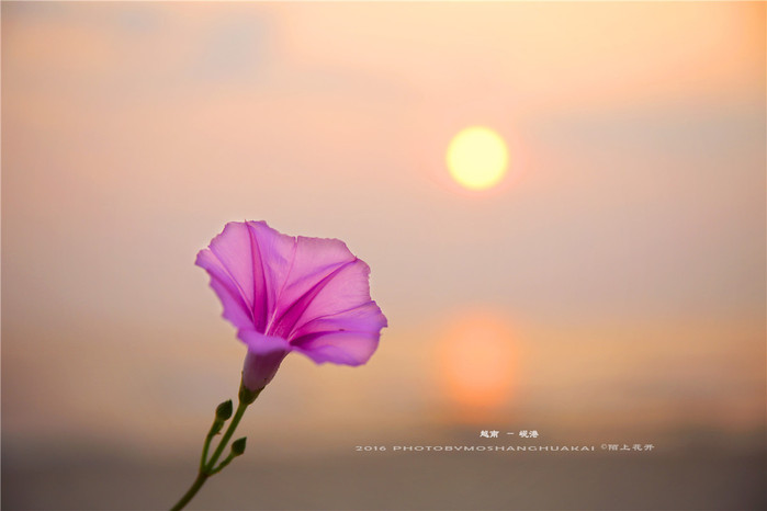 周末越南团进入东兴旅游,节假日去越南旅游怎么样