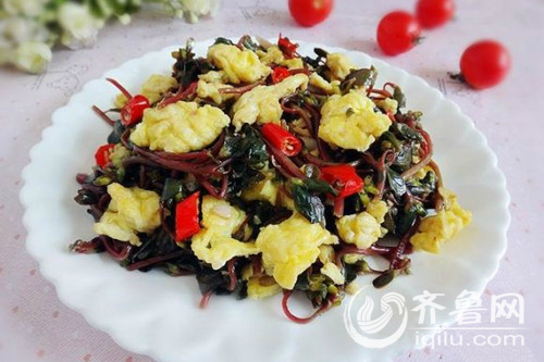 马齿菜的吃法大全家常,马齿菜的吃法大全集