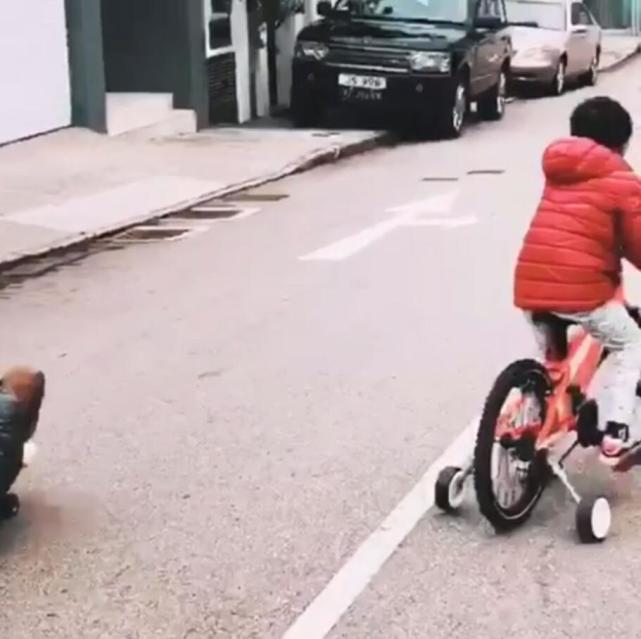 张柏芝带儿子玩滑板车,张柏芝玩滑板车上节目