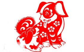 1976年属龙女2024本命年的运程,1986属虎本命年2022年运势及运程