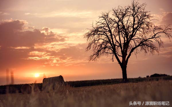 源宸职场经验分析,源宸职场技巧