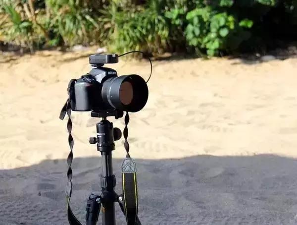 不去影楼自己怎么拍好全家福,自己怎么拍出不露脸的全身照