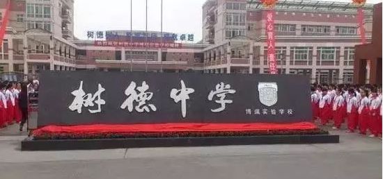 成都武侯区私立小学排名前十名,成都读公立小学还是私立小学好