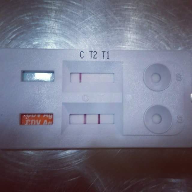 猫咪猫瘟是怎样的,猫咪知识科普不露脸