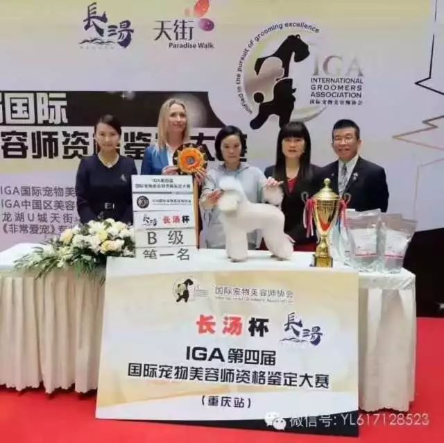 田丹最后一集画面,田丹最后什么结果