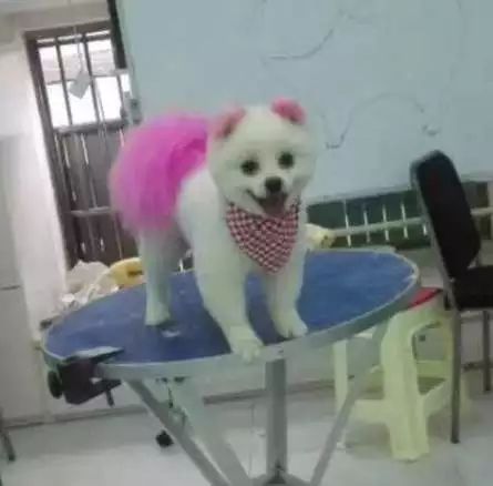 田丹最后一集画面,田丹最后什么结果