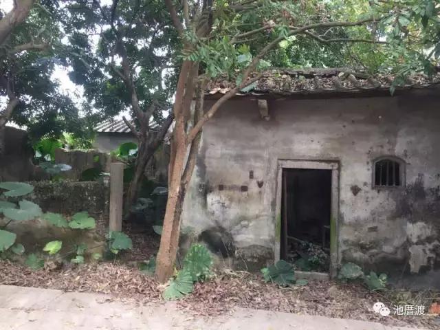 池厝渡,池厝渡抬龙头