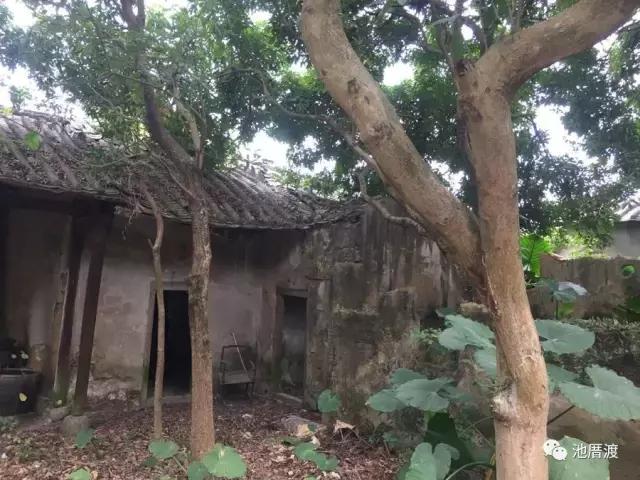 池厝渡,池厝渡抬龙头