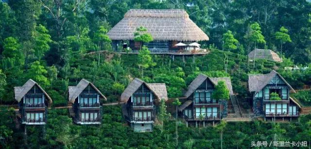 斯里兰卡旅行攻略最新,旅行斯里兰卡攻略