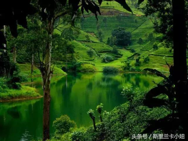 斯里兰卡旅行攻略最新,旅行斯里兰卡攻略