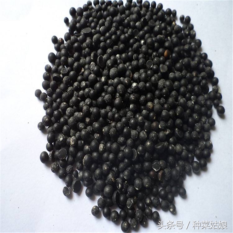 种植芦笋的正确方法,芦笋育苗出苗率只有百分之80