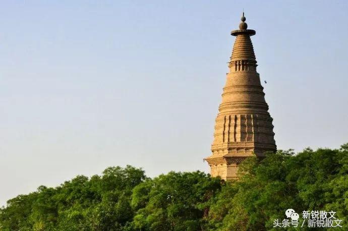 骞崇綏鍛ㄨ竟閮芥湁鍝簺鍦版柟,骞崇綏鏈濋槼琛楀湪鍝釜鍦版柟
