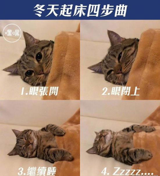 老人食物搅拌器,万能食物搅拌机