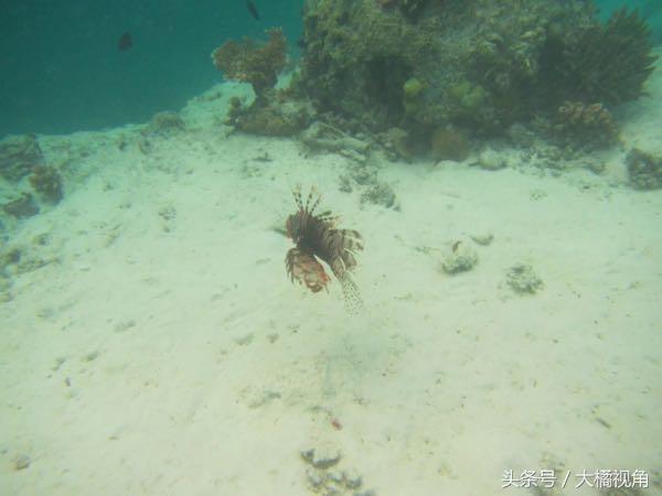 仙本那海岛游玩,仙本那海岛度假