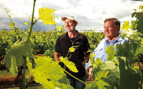 aoc的葡萄酒都是好酒吗,葡萄酒等级在哪里看aoc
