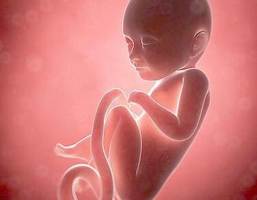 怀孕后总担心宝宝发育不好,孕初期在家怎么判断孩子发育正常