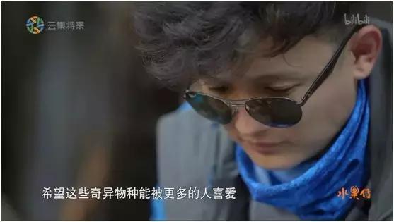 这部汁液四溅的作品勾起了所有人的欲望