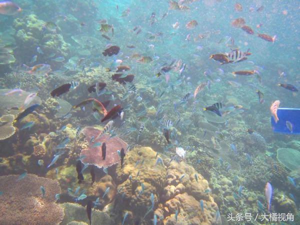 仙本那海岛游玩,仙本那海岛度假