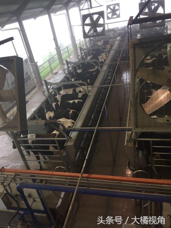 仙本那海岛游玩,仙本那海岛度假