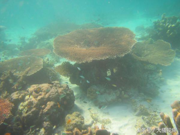 仙本那海岛游玩,仙本那海岛度假