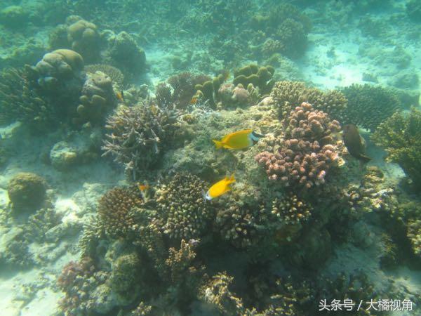 仙本那海岛游玩,仙本那海岛度假