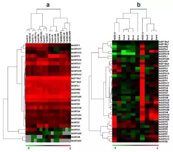 项目和论文不一样的逻辑,项目不同数据不同适合什么图表