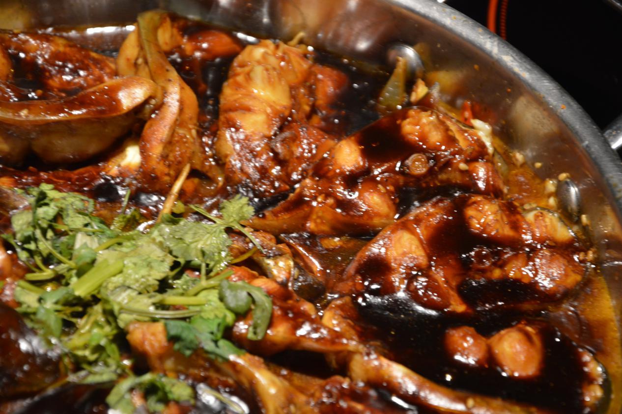 石家庄荣鼎ZooMall“吃货”齐聚，与萌宠和美食完美邂逅！