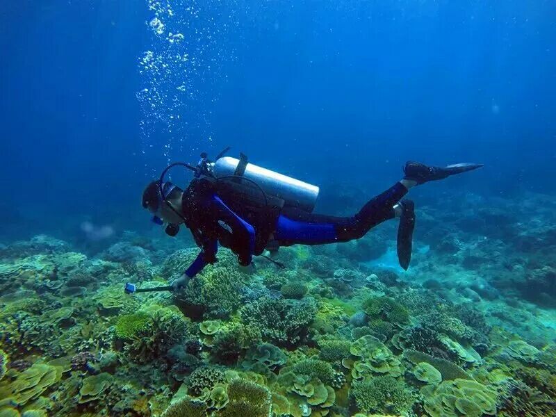 潜水海南三亚,三亚潜水的最佳时间