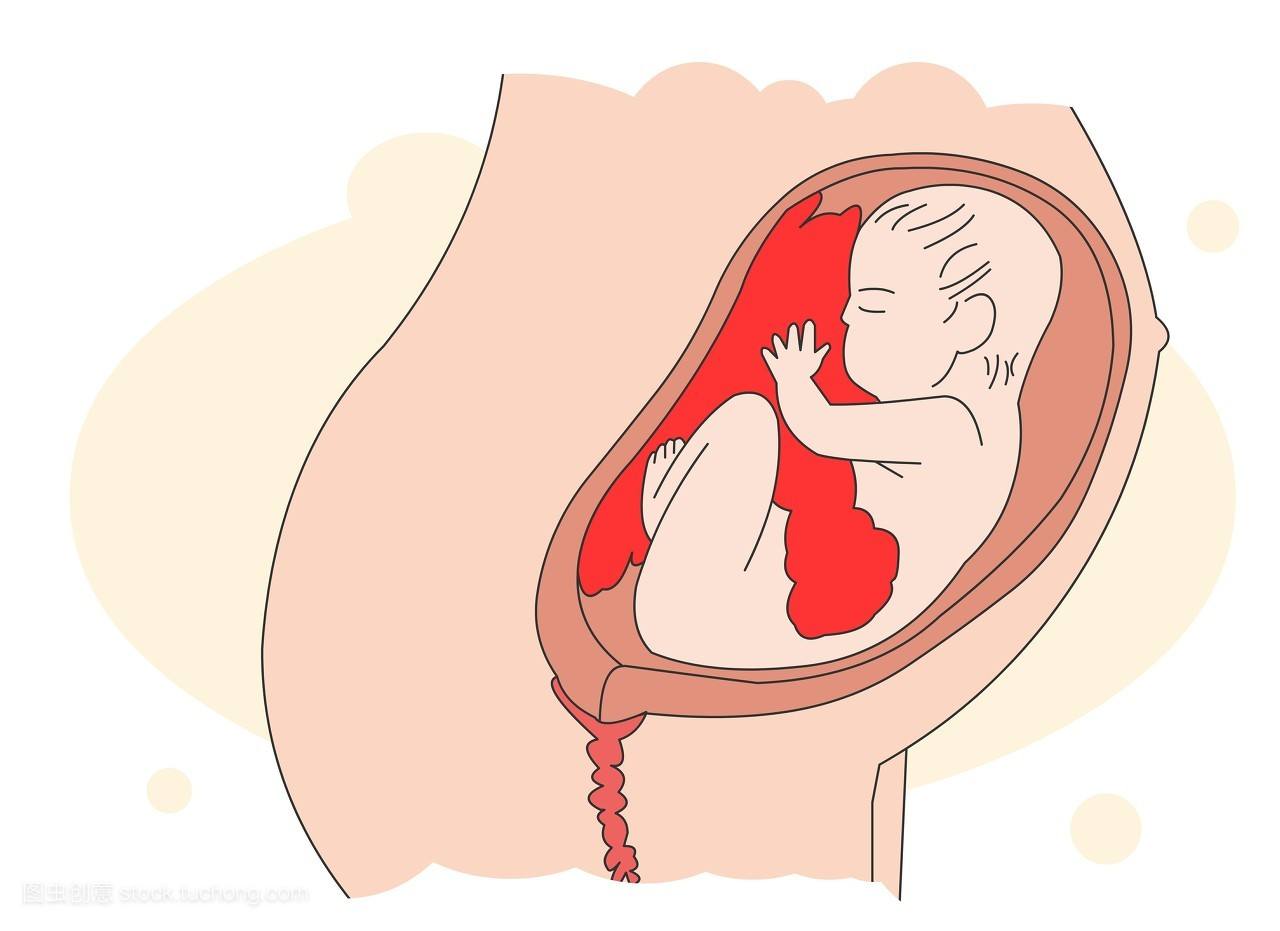 不用b超怎么判断怀孕几周,不用b超判断母猫是否假孕