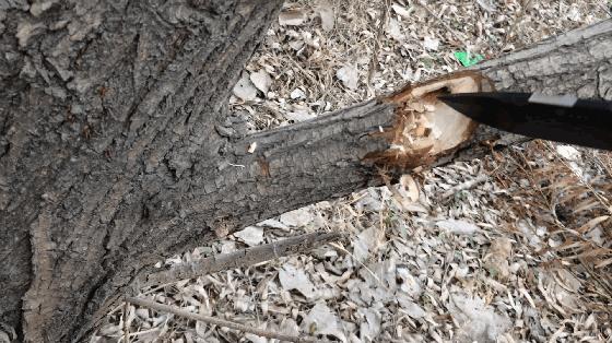 实操课锯钢板,汉道探索者d2评测